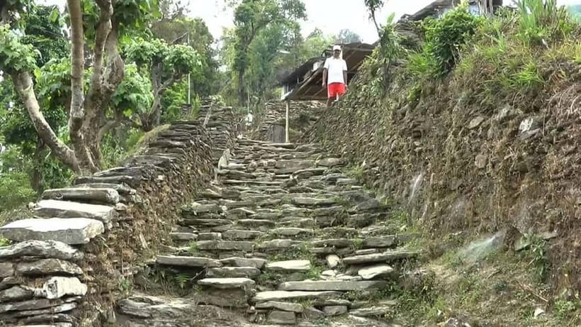 Pokhara: Annapurna Foothills Day Hike with Transfers - Descending from Dhampus to Phedi