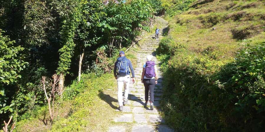 Pokhara: Day Hike to Australian Camp - Australian Camp at 2,100 meters
