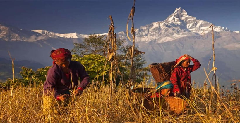 Pokhara: Day Hiking to Australian Base Camp with Lunch - Best Seasons and Practical Packing