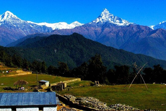 Pokhara: Easy Day Hike to Australian Camp & Dhampus Village - Kande to Australian Camp: the main climb