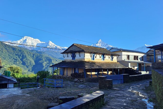 Pokhara: Easy Day Hike to Australian Camp & Dhampus Village - Phedi pickup and the return to Pokhara