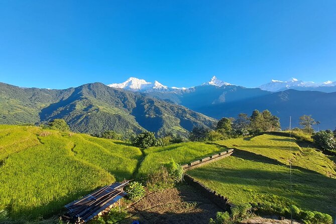 Pokhara: Easy Day Hike to Australian Camp & Dhampus Village - Who should book this hike?