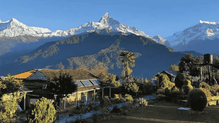 Pokhara: Guided Day Hike From Dampus To Australian Base Camp - What makes this hike worth your day
