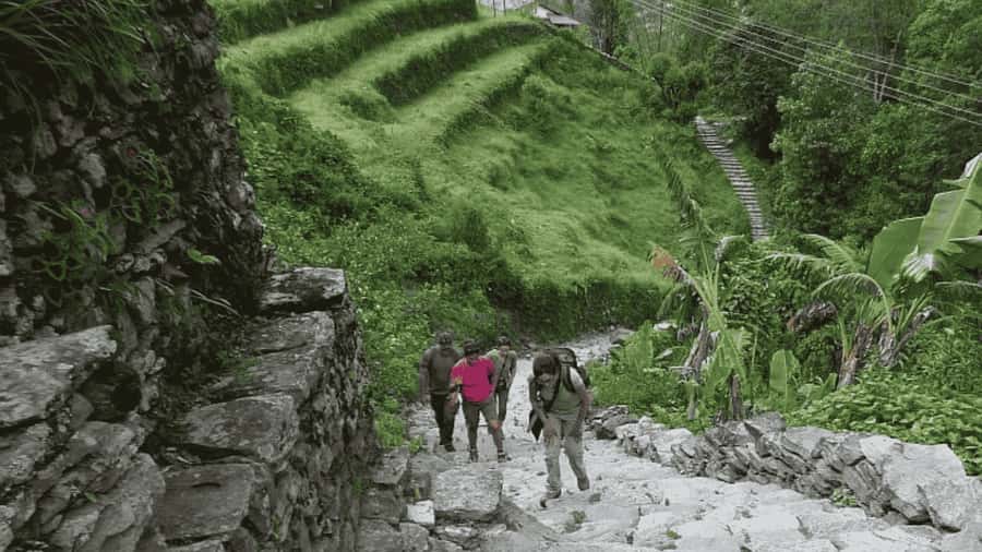 Pokhara: Guided Day Hike From Dampus To Australian Base Camp - Setting out from Pokhara to Dhampus
