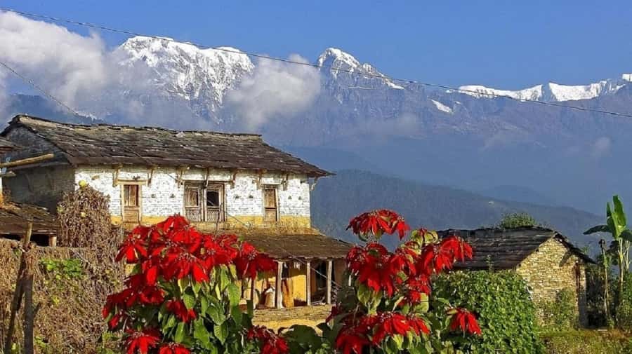 Pokhara: Guided Day Hike From Dampus To Australian Base Camp - Australian Camp trailhead and the climb