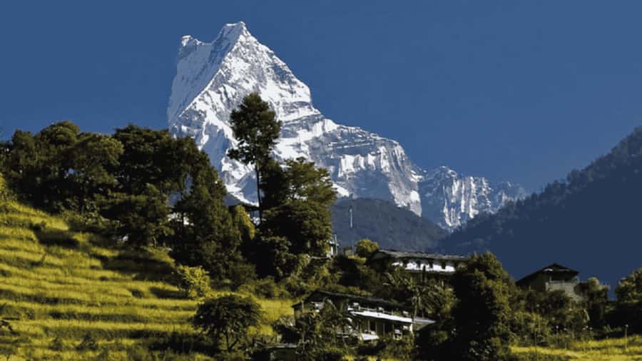 Pokhara: Guided Day Hike From Dampus To Australian Base Camp - Dhampus village and Gurung culture
