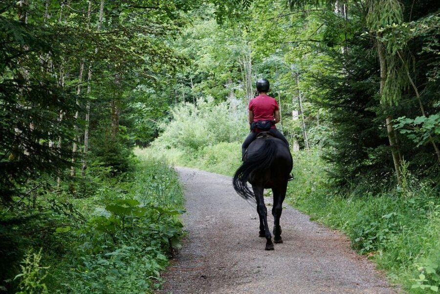 Pokhara: Horseback Adventure - Why Horseback Riding Works Well In Pokhara
