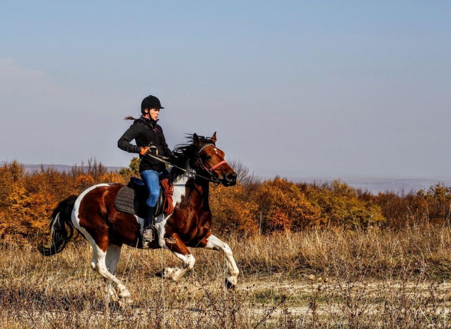 Pokhara: Horseback Adventure - Starting From The Lakeside Hotels