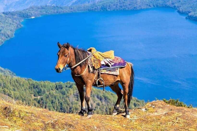 Pokhara: Horseback Riding Adventure with Hotel Pickup - Starting From Lakeside Road 6