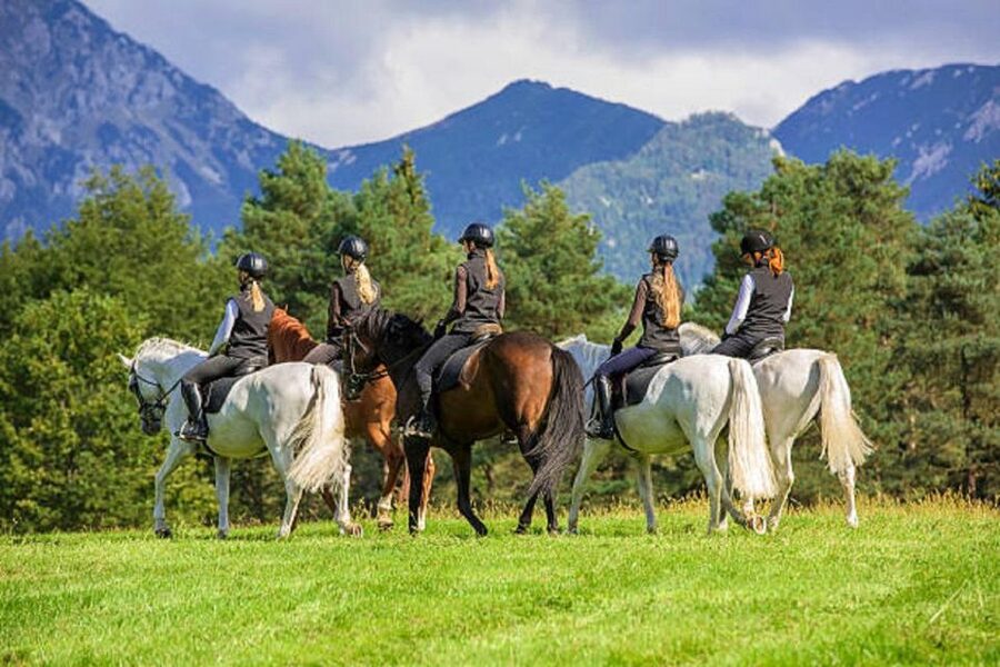 Pokhara: Horseback Riding Adventure with Hotel Pickup - Who Will Enjoy This Most