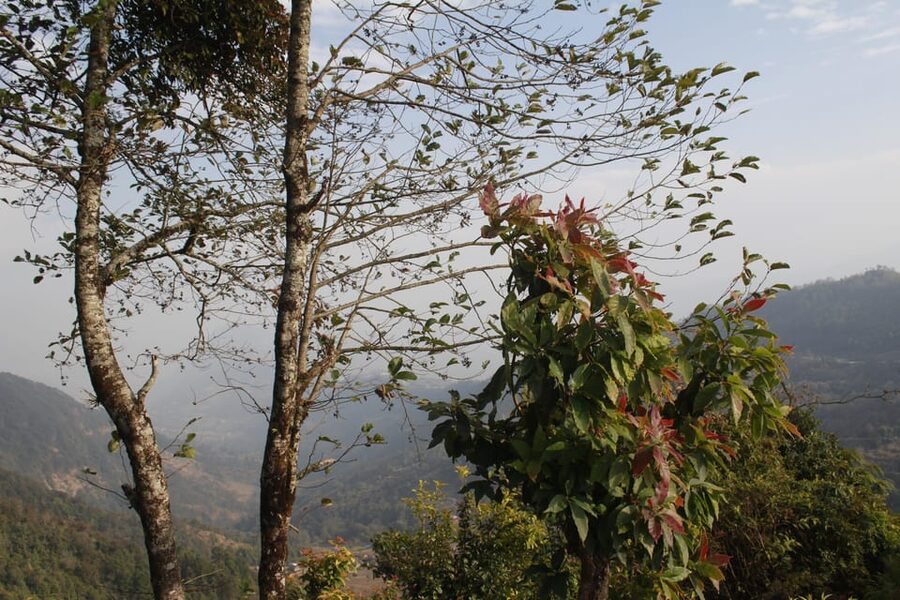 Pokhara: One night camping, campfire stay at Australian camp - What the $86 Price Really Includes
