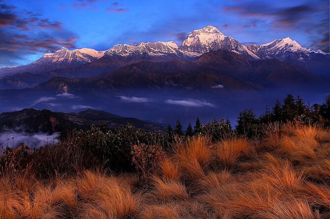 Pokhara: Poon Hill Ghorepani Short Trek - Fitness, age, and the practical demands