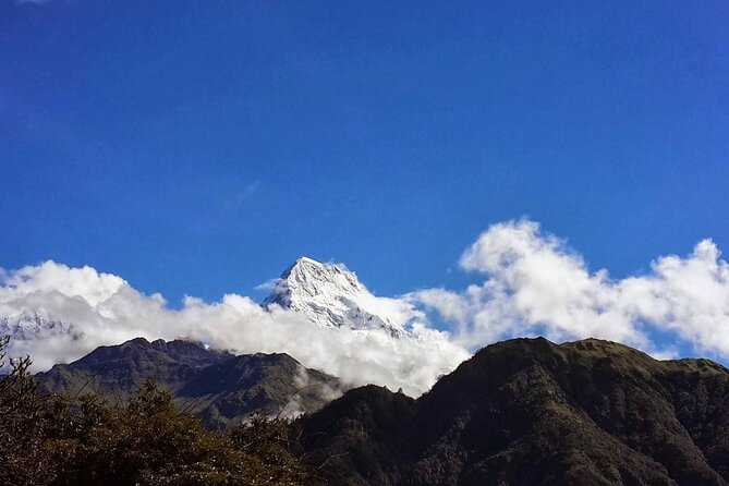 Pokhara: Poon Hill Ghorepani Short Trek - Day 1: From Pokhara to Tadapani by road and trail
