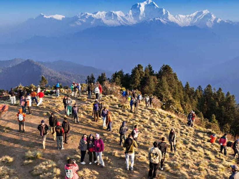 Pokhara: Poon Hill Trek - Day two: Ulleri to Ghorepani through forest