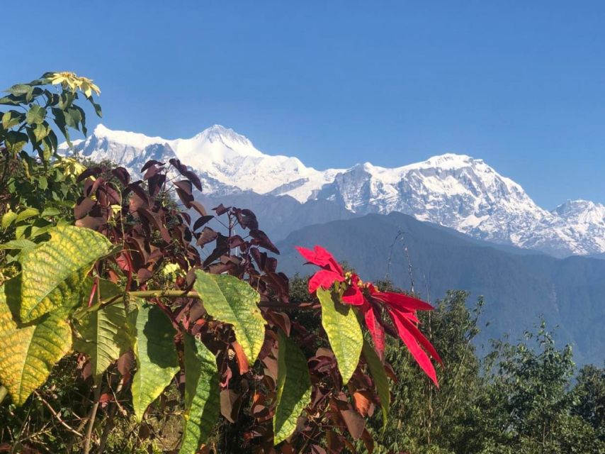 Pokhara: Sunrise Tour to Sarangkot - The village drive back to Pokhara
