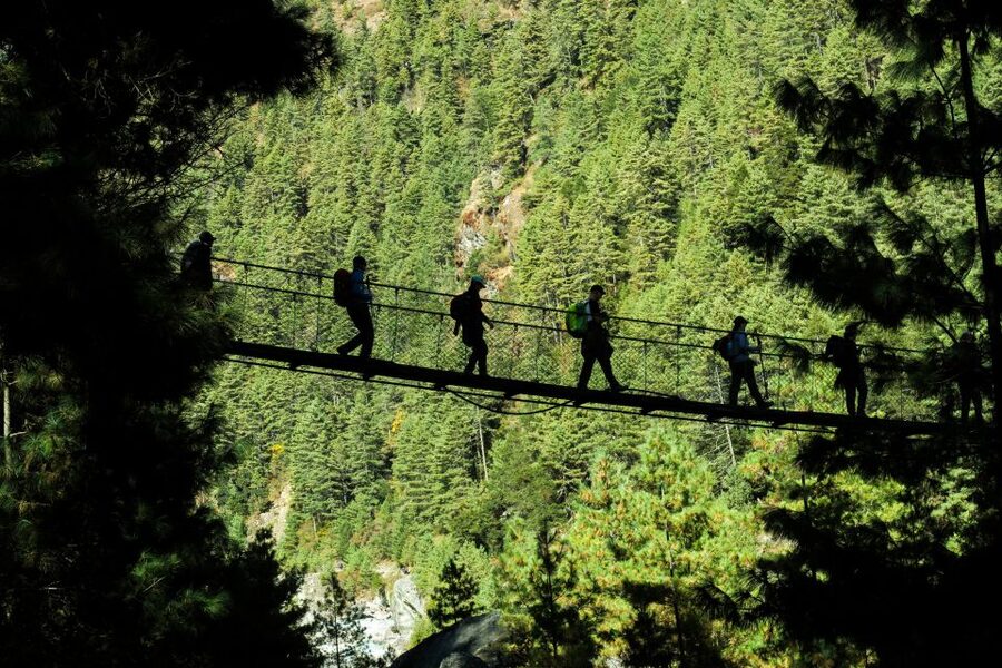Pokhara: Suspension Bridge Private Tour- 30 Min Village Walk - The 30-minute village walk and its mixed appeal
