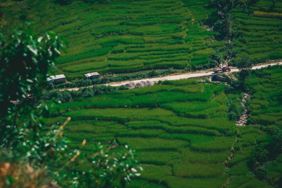 Pokhara: Suspension Bridge Private Tour- 30 Min Village Walk - Why the guide can make or break the visit