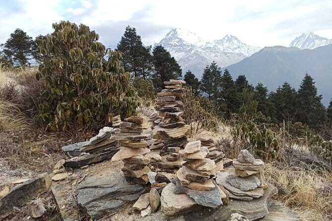 Poon Hill Trek from Pokhara 4 Days - Day 2: Ulleri through Banthanti to Ghorepani