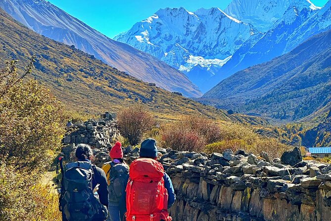 Private 8 - Day Langtang Trekking - Day 6: Retracing the trail to Lama Hotel