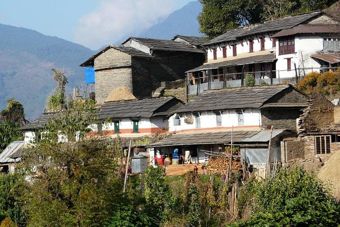 Private Full-Day Hike in the Annapurna Foothills in Pokhara - Walking the forest trail toward Dhampus