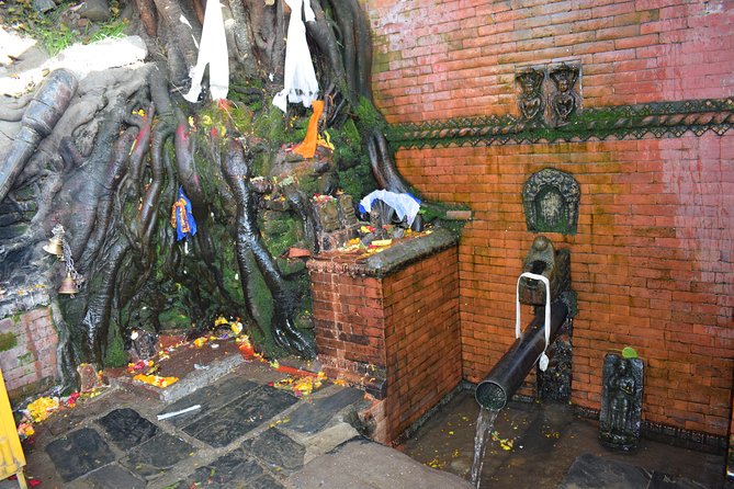 Private Half Day Budhanilkantha Tour - Who will enjoy this short Kathmandu outing?