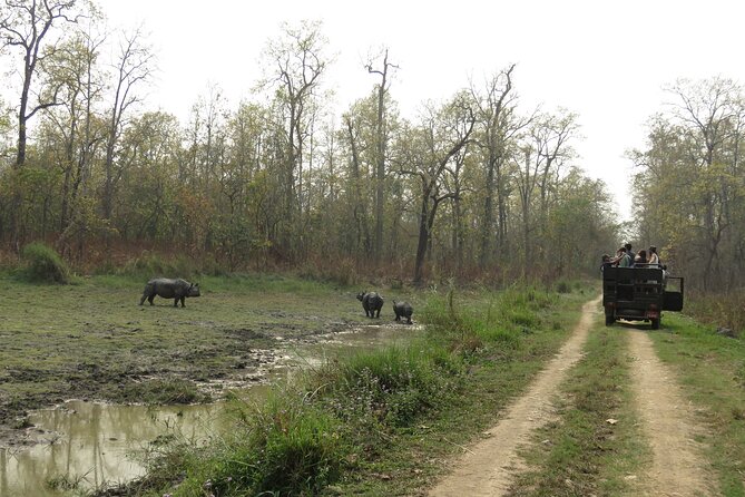 Private Jeep Safari (8-10 hrs.)inside Chitwan National Park. - What is included in the $196.66 price
