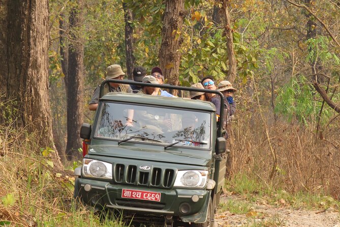 Private Jeep Safari (8-10 hrs.)inside Chitwan National Park. - Starting at 6:30 am in Sauraha