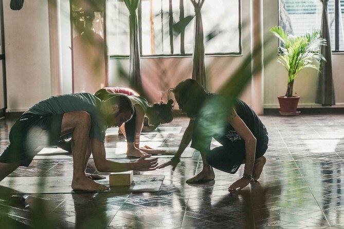 Regular Yoga for all levels of practitioners in Kathmandu - How the Instructor’s Personal Guidance Changes the Class
