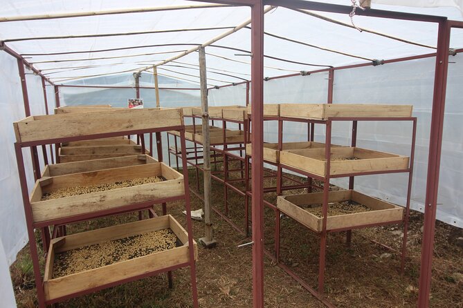 Sarangkot Village Coffee Culture and Authentic Local Life Tour - The two-and-a-half-hour climb to Pandeli