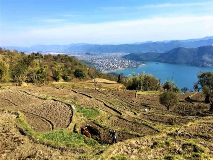 Seti George and Thrilling Suspension Bridge Tour at Pokhara - What $13 includes, and what it does not