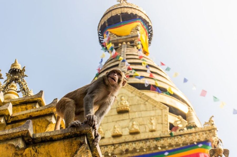 Spiritual Nepal: Expert insight into Multifaith Journey - Aarati beside the Bagmati River