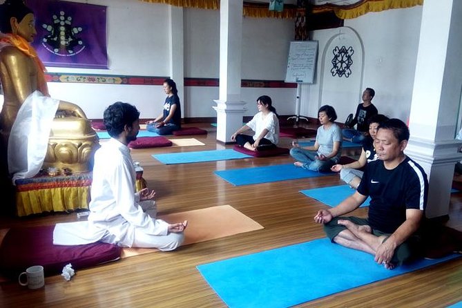 The Boudhanath Yoga Experience in Nepal - A 2.5-hour class built around five practices