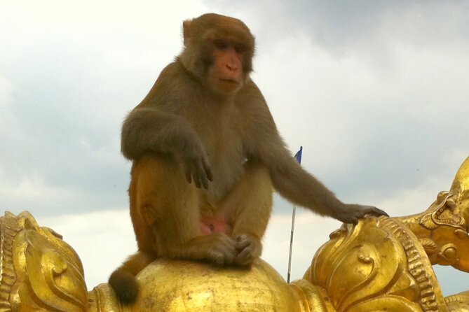 TOP 4 UNESCO World Heritage Sites Tour - Why the private format matters in Kathmandu