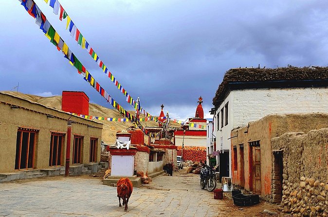 Upper Mustang Trek 14 Days - Days 4 to 7: Chele, Syanboche, Ghami, and Tsarang